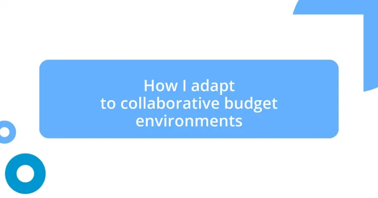 How I adapt to collaborative budget environments