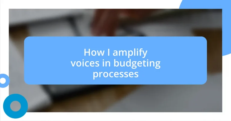 How I amplify voices in budgeting processes