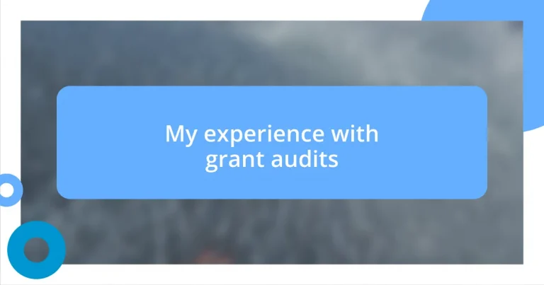 My experience with grant audits