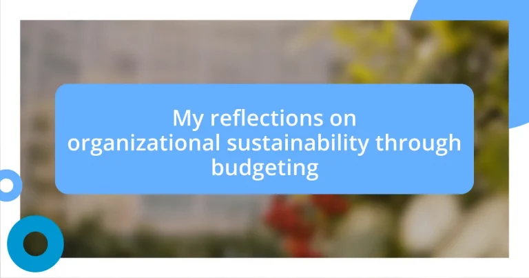 My reflections on organizational sustainability through budgeting