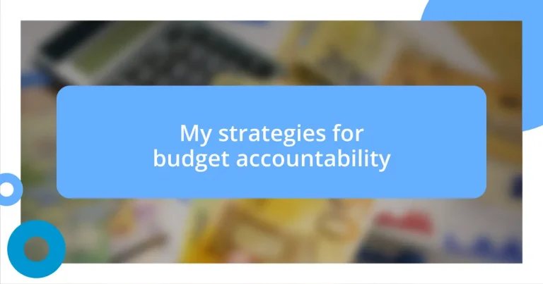 My strategies for budget accountability