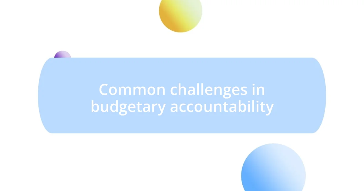 Common challenges in budgetary accountability